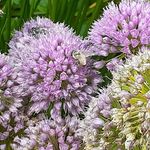 Julie Flaherty - @jaflah2001 - Instagram