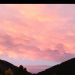 JMCF - @_juliefleischer_ - Instagram