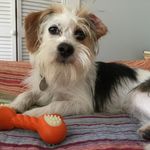 Julie Ann Fleischer Manders - @tapgirl51 - Instagram