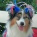 Julie Forward - Facebook