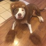 @julie_and_friday - Instagram