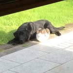 Julie Park Gamble - @jmipark - Instagram