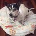 Julie Gartrell - Facebook