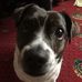 Julie Ann Geraghty - Facebook