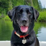 Julie Geraghty - @julie_ann_51 - Instagram