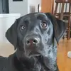 Julie Geraghty - @julie.geraghty - TikTok