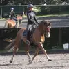 juliegeraghty49 - @juliegeraghty49 - TikTok