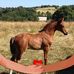 Julie Germain - Facebook