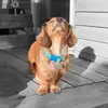 julie germain - @julie.germain0 - TikTok