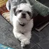 Julie Germain - @julie_g007 - TikTok