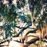 Julie Payette St-germain - @julie121621 - Instagram