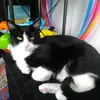 julie.germain01 - @julie.germain0142 - TikTok
