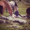 julie_gerstein - @julie_gerstein - TikTok