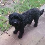 Julie Gooch - @gooch2724 - Instagram
