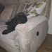 Julie Gooch - Facebook
