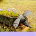 Julie Gresham - Facebook