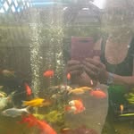 Julie Carol Halford - @julie.bessell.3 - Instagram