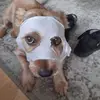 Julie Hardman - @julie.hardman4 - TikTok