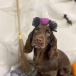 Julie Hardman - @julie.h.butterworth - Instagram
