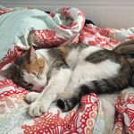Julie & Hazel - @julieandbeans - Instagram