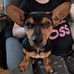 Julie Hazel - Facebook