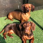 Julie&Hazel Stevenson🌻 - @julieandhazelsminiadventures - Instagram