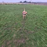 Julie Hearn - @julie.hearn - Instagram