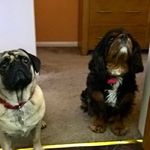 Julie Hearn - @hearn8236 - Instagram