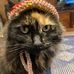 Julie Hedger - Facebook