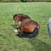 Julie Hedger - Facebook