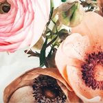 Julia Heiser - @heiserju - Instagram