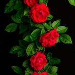 Julie Hermann - Facebook