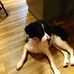 Julie Hippe - Facebook