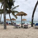 Julie Hobby - @juliehobby5 - Instagram