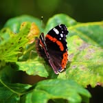 @julie_hobby_fotograf - Instagram
