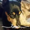 julieannhoffmeyer - @julieannhoffmeyer - TikTok