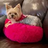 Julie Husa - @juliemochi - TikTok