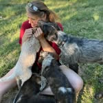 Julie Hutto - @juliehutto6 - Instagram