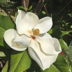 Julieigo - @julieigo - Instagram