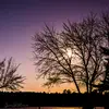 Julie Ingham - @julie.ingham - TikTok