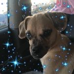 Julie Inglis - @julie.inglis.5477 - Instagram