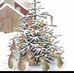 Julie Inglis - Facebook