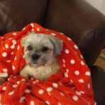 Julie L Jacobs - Facebook