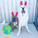 Julie Jauregui - @jaureguijulie - Instagram