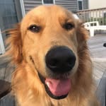 Julie Jenson - @julie.jenson.16 - Instagram