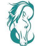 Julie Jerome - @hampshire.equine.touch - Instagram
