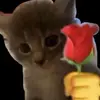 Juliet💙 - @juliet.kaser55 - TikTok