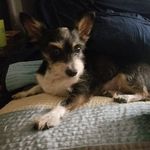Julie Keele - @jabaker40 - Instagram