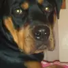 Julie Keeley - @julie.keeley - TikTok