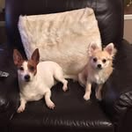Julie Killian - @saddlers123 - Instagram